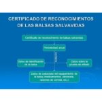 Certificación Balsas Salvavidas